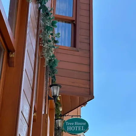 Hotel Tree House Istambul