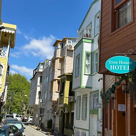 Tree House מלון *