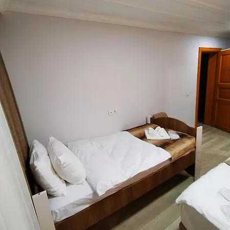 Tree House Отель