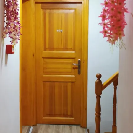 Szálloda Tree House Isztambul