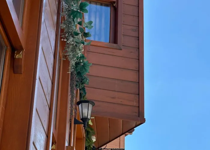 מלון Tree House איסטמבול